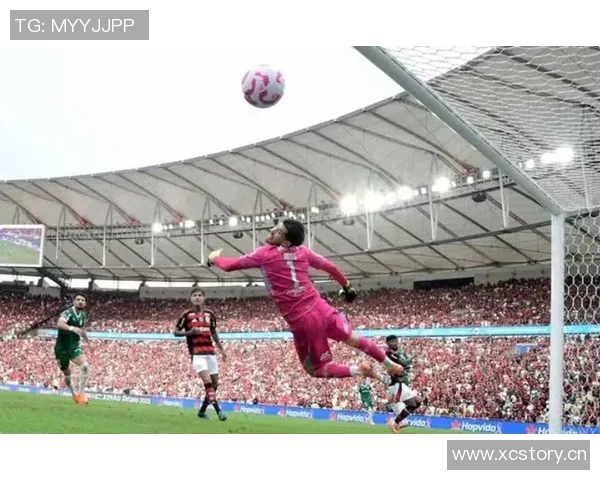 巴西足球盛事帕尔梅拉斯与弗拉门戈争夺南美解放者杯冠军 巴西足球盛事帕尔梅拉斯与弗拉门戈争夺南美解放者杯冠军